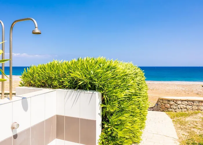 فيلة Tsampikos *